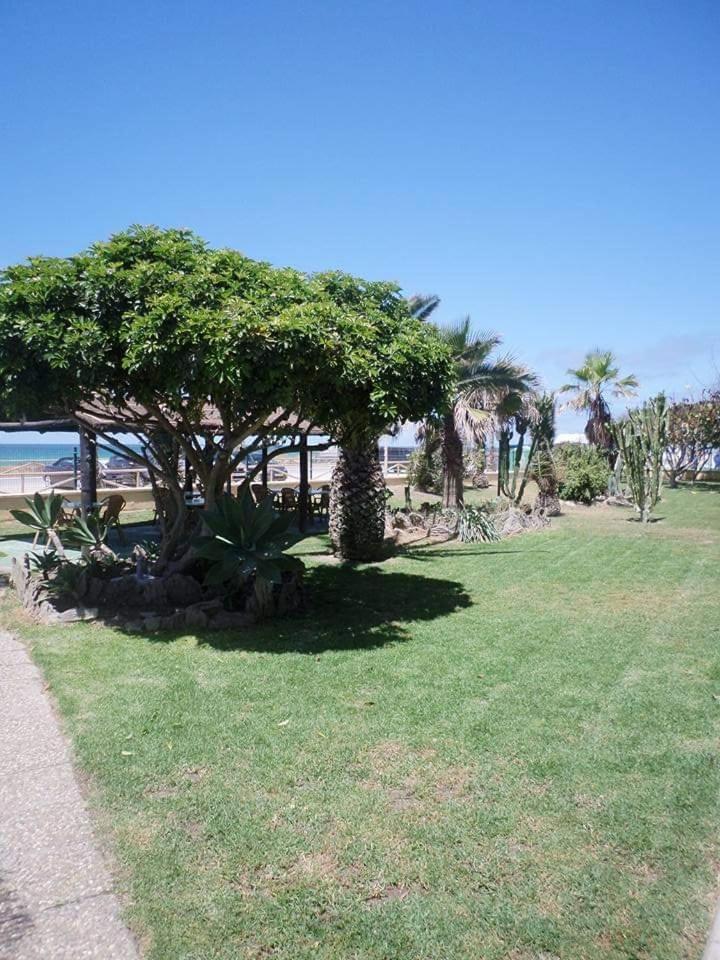 Hostal Restaurante La Ilusion El Palmar  Extérieur photo